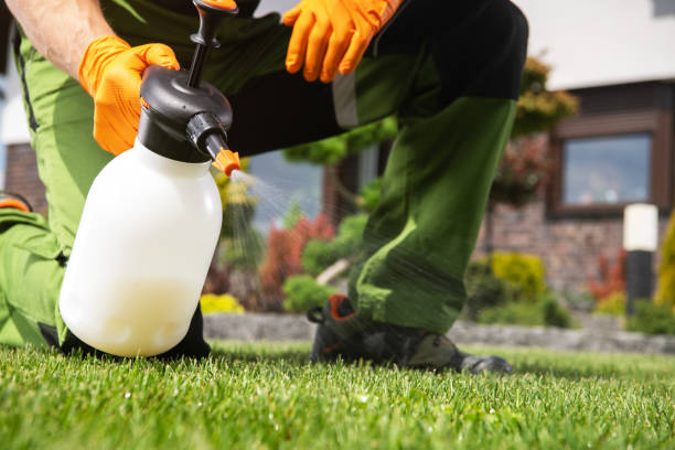 Best Ant Control Services  in Hillsboro, KS