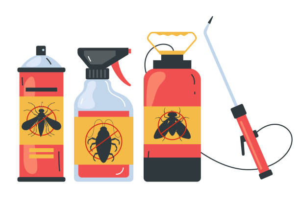 Wasp Removal Services in Hillsboro, KS