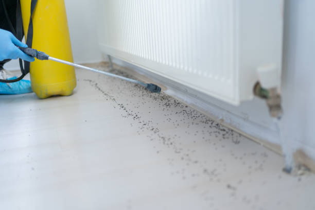 Best Pest Control Near Me  in Hillsboro, KS