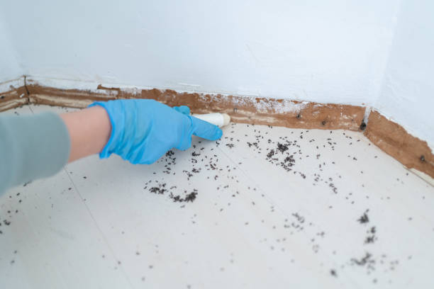 Best Pest Inspection Near Me  in Hillsboro, KS