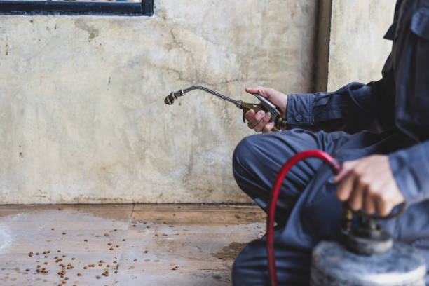 Best Pest Inspection Near Me  in Hillsboro, KS