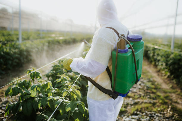 Flea Control Services in Hillsboro, KS